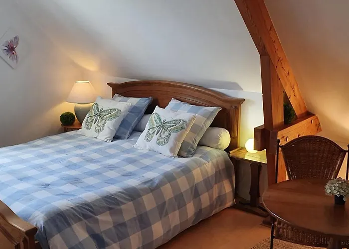 Maison Des Hortensias * Saint-Contest